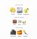 Obsidian | French Avenue