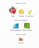 Jungle Vibe | Rayhaan