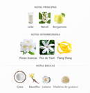 Veneno Bianco | French Avenue